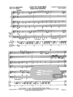 Andrea Bocelli: Time to say Goodbye - Con Te Partiro (noty pro flexibilní orchestr, party, partitura)