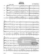 Ary Barroso: Brasil (noty pro 5-členný flexibilní orchestr, party, partitura)