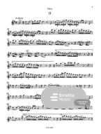 Pierre Gabriel Buffardin: Konzert für Flöte, Streicher und BC e-Moll (noty na příčnou flétnu, klavír)