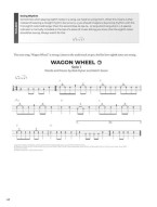Do-It-Yourself Mandolin (tabulatury na mandolínu)(+audio+video)