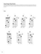 Do-It-Yourself Mandolin (tabulatury na mandolínu)(+audio+video)