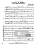 The Music of the Night from Phantom of the Opera (noty pro smyčcový orchestr, partitura, party)