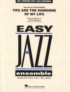 Stevie Wonder: You Are the Sunshine of My Life (noty pro snadný jazzový orchestr, party, partitura)
