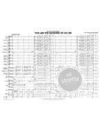 Stevie Wonder: You Are the Sunshine of My Life (noty pro snadný jazzový orchestr, party, partitura)