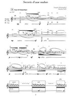 Josquin Schwizgebel: Les Reflets De L'Obscurite (noty na kytaru)