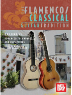 Flamenco/Classical Guitar Tradition 2 (noty na kytaru)(+audio)