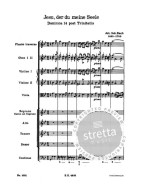 J.S. Bach: Cantata Nr. 78 BWV 78 - Jesus, By Thy Cross And Passion (noty, partitura)