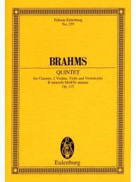 Johannes Brahms: Quintet In B Minor Op.115 (noty, partitura)