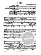 Johannes Brahms: Piano Trio In B Major Op. 8 (noty, partitura)