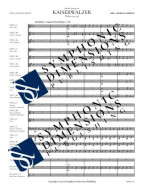 Johann Strauss Jr.: Kaiserwalzer (noty pro 5-členný flexibilní orchestr, party, partitura)