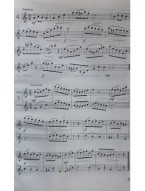 Miroslav Hošek: Škola pro nejmladší hobojisty 3