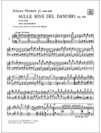Johann Strauss: Sulle Rive Del Danubio Op. 314 (noty na klavír)